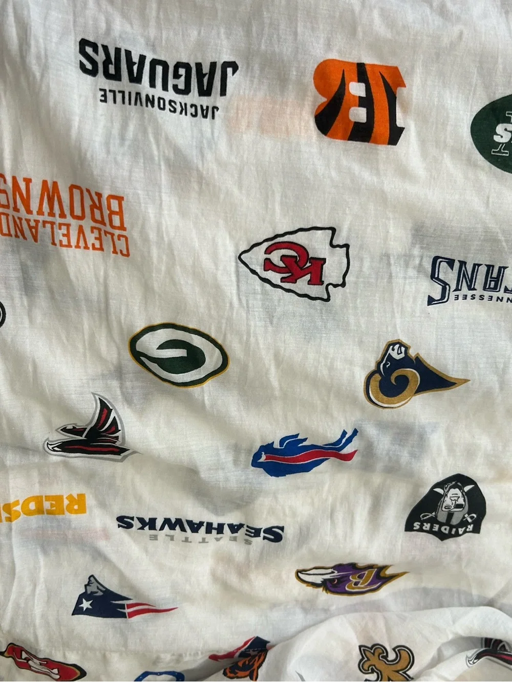 vintage 2013 Northwest Company NFL cotton  twin sheet set - NO pillowcase